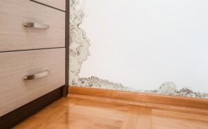 Damp Proofing Harrogate